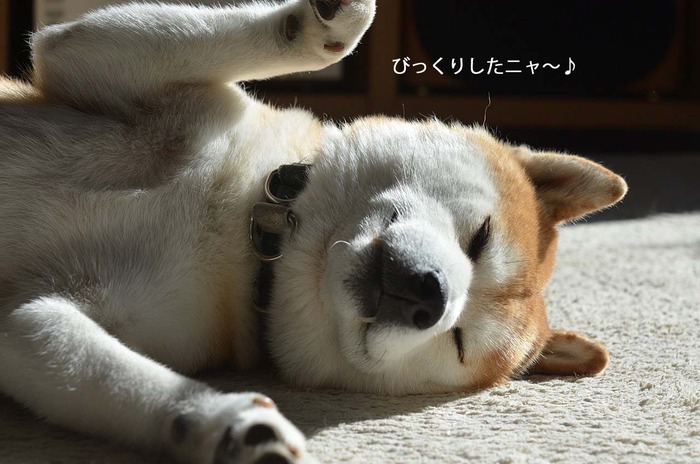 21日ブログ5