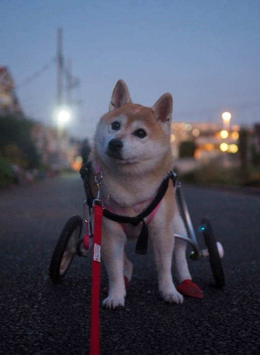 16日ブログ３