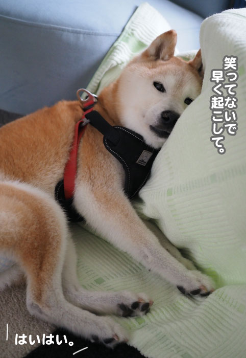 4日ブログ２