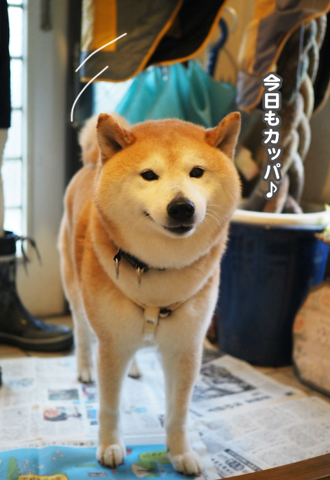 4日夜ブログ２