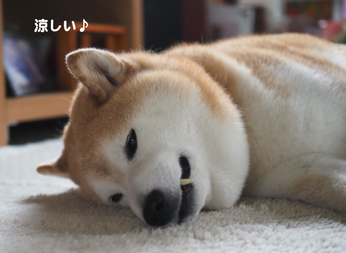 18日ブログ２