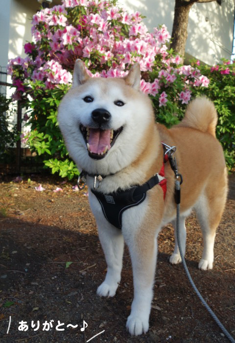 19日夕ブログ４