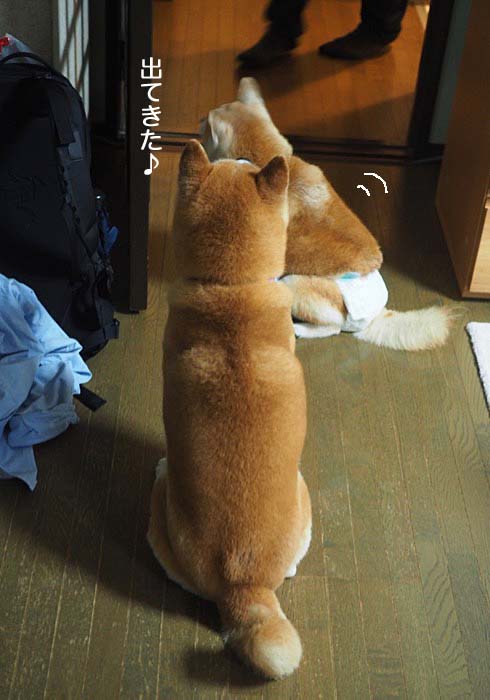 13日ブログ２
