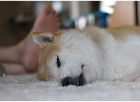 22日ブログ2.jpg