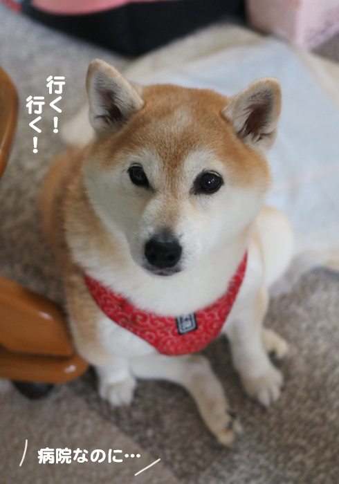 26日夜ブログ２