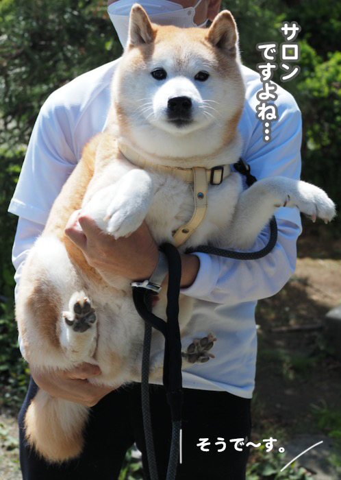 10日ブログ６