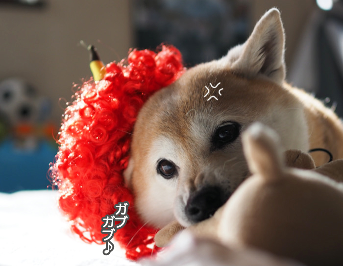 3日夜ブログ９