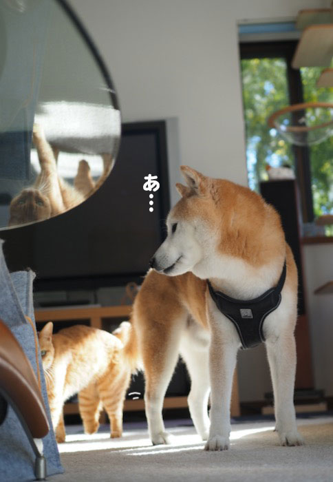 9日ブログ２