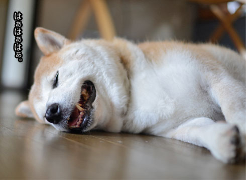 30日ブログ2.jpg