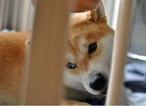 30日ブログ5.jpg