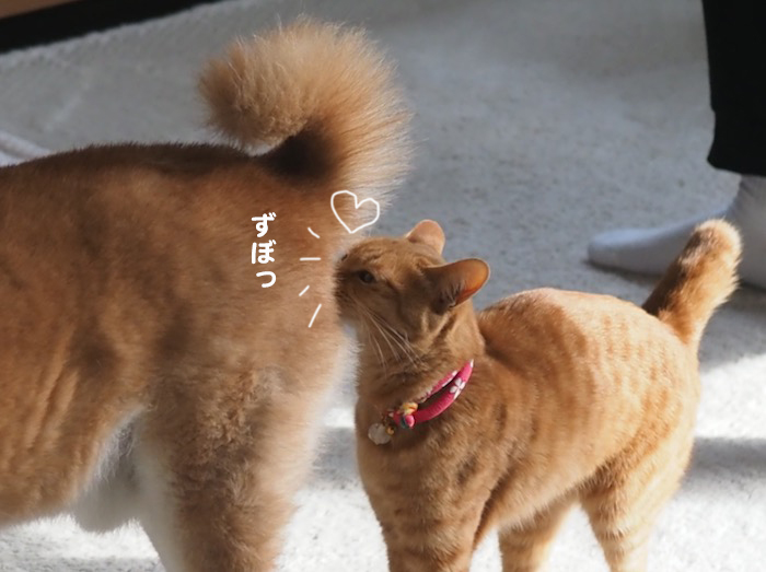 4日ブログ８