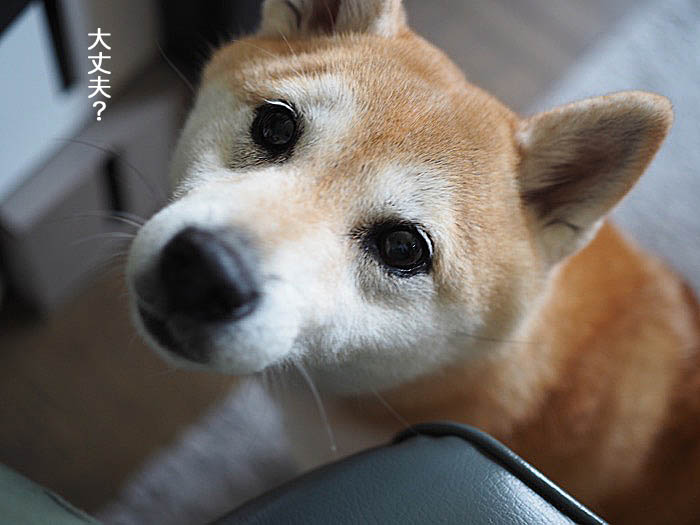 2日ブログ８