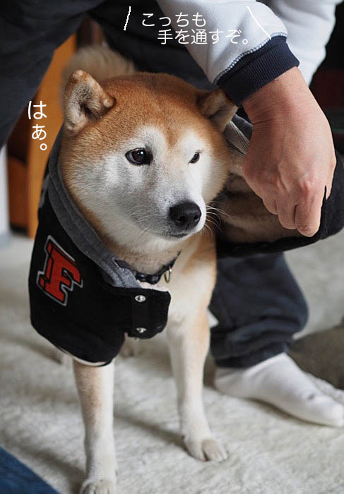31日午後ブログ10
