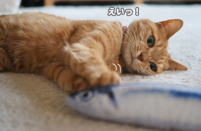 23日ブログ４