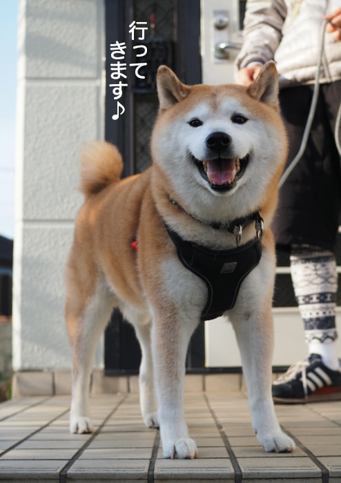 11日夜ブログ１１