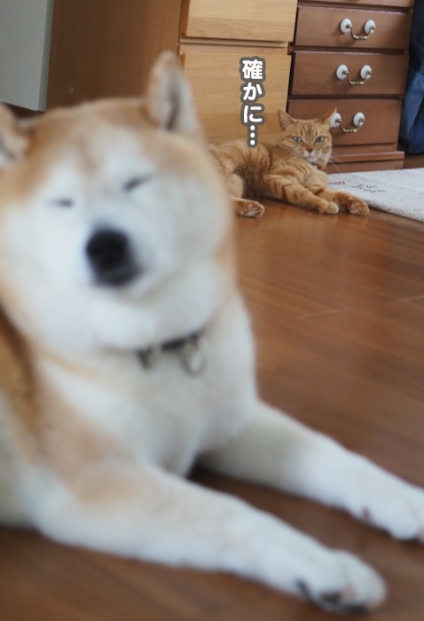 21日夕ブログ３