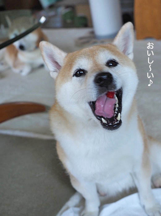 17日夜ブログ６