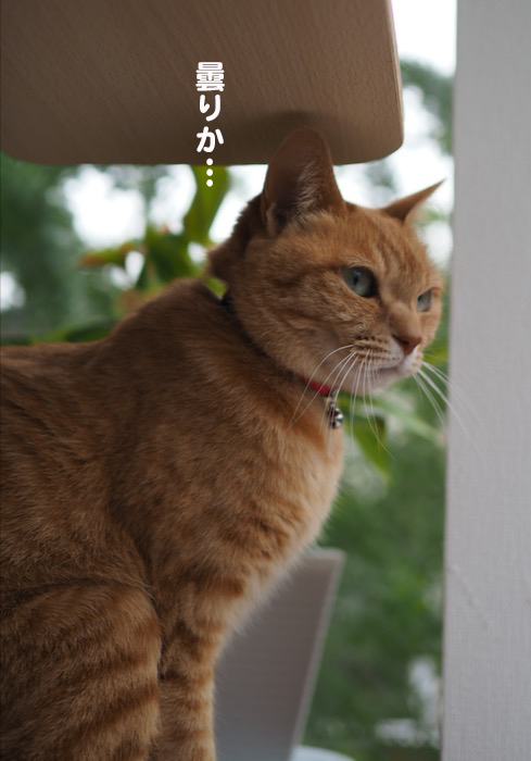 31日ブログ１
