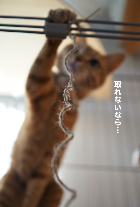 4日夕ブログ７