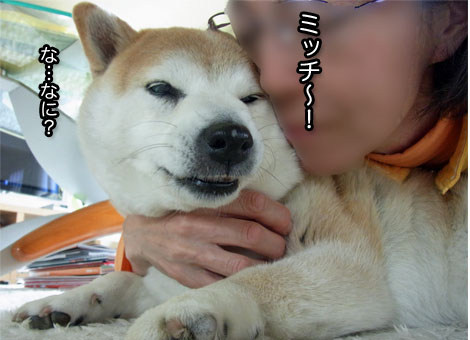 25日ブログ14.jpg