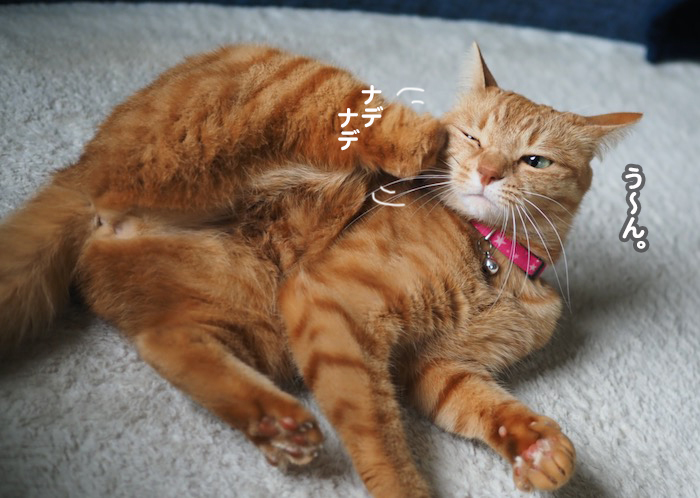 20日ブログ４