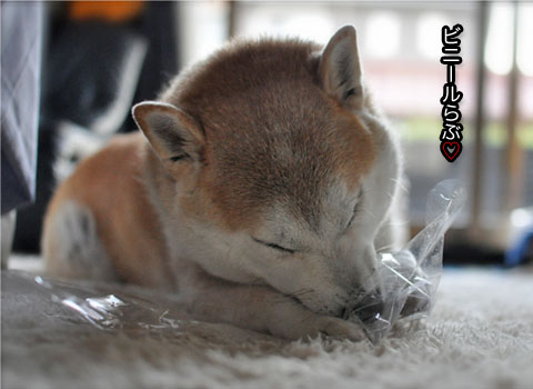 26日ブログ12.jpg