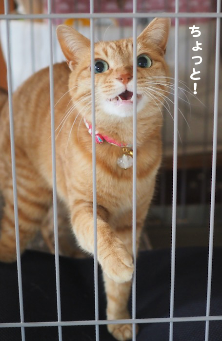 27日ブログ１