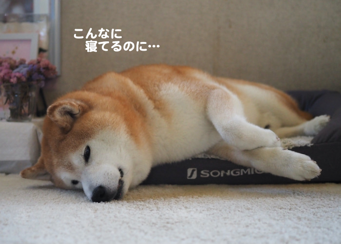 7日夕ブログ２