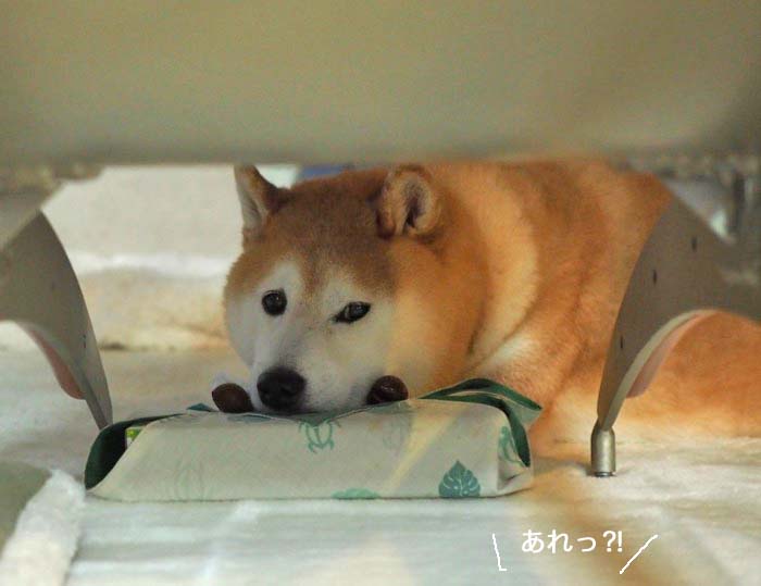 15日ブログ２