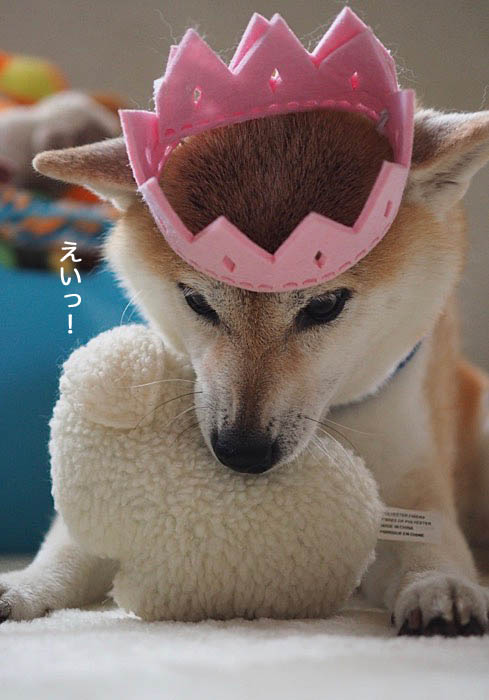 7日ブログ８