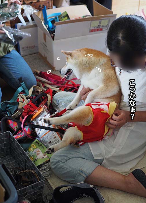 1日ブログ８