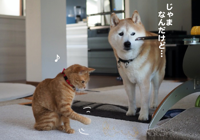 19日ブログ3