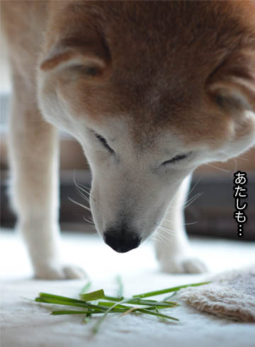 23日ブログ5.jpg