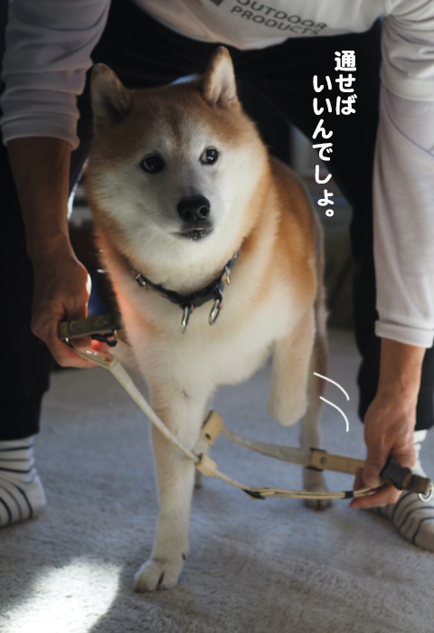 26日ブログ５