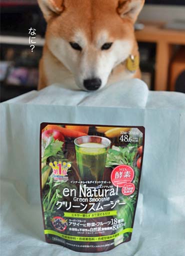 8日ブログ７.jpg