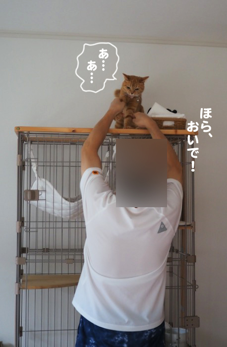 3日夕ブログ８