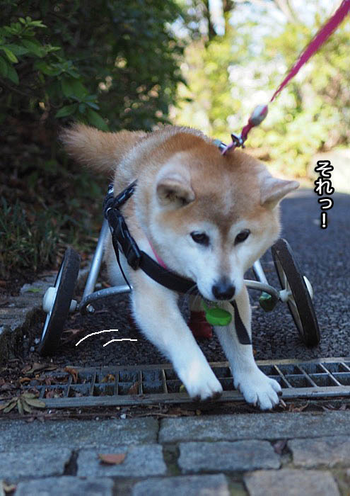15日ブログ５