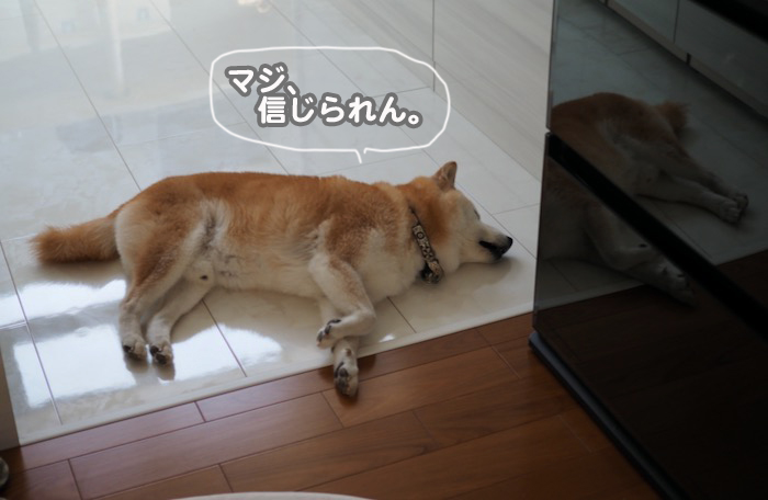 27日夕ブログ5