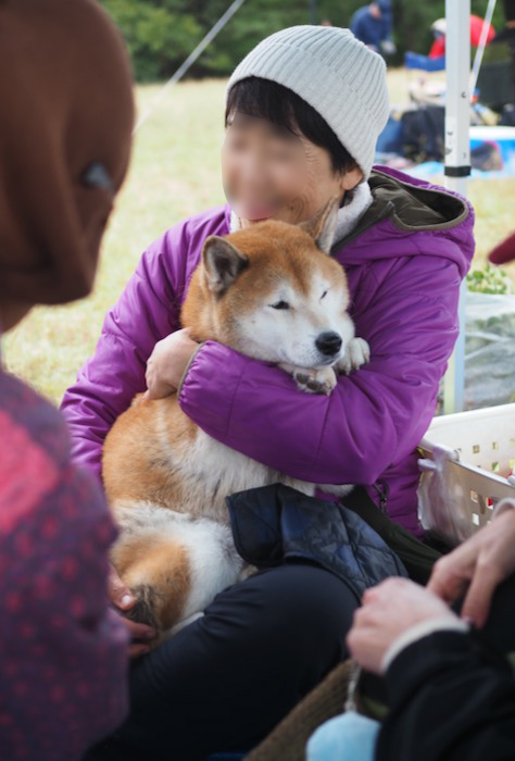 12日夕ブログ14