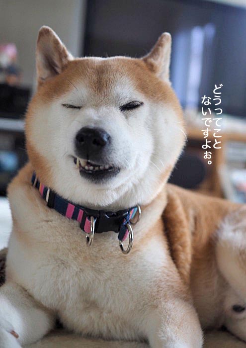27日夜ブログ６