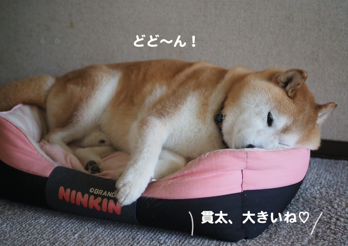 ３日夕ブログ３