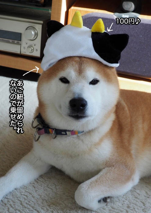 2日夜ブログ２