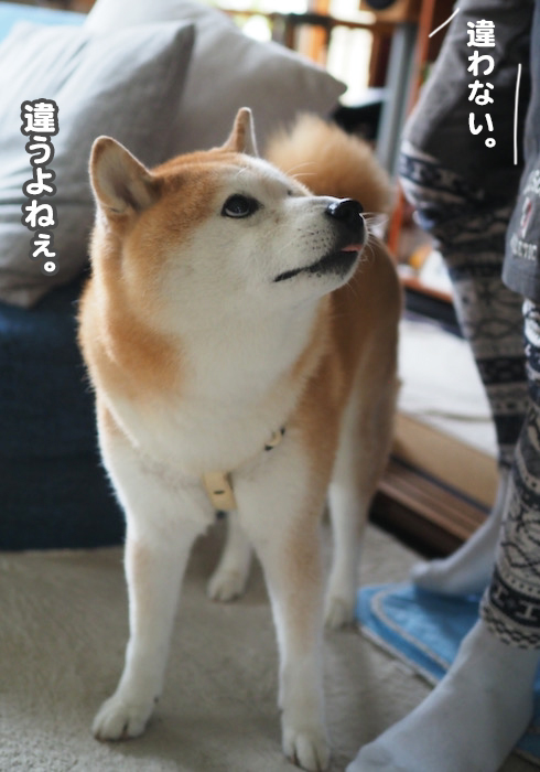 7日夕ブログ４