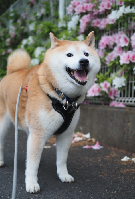 26日ブログ２