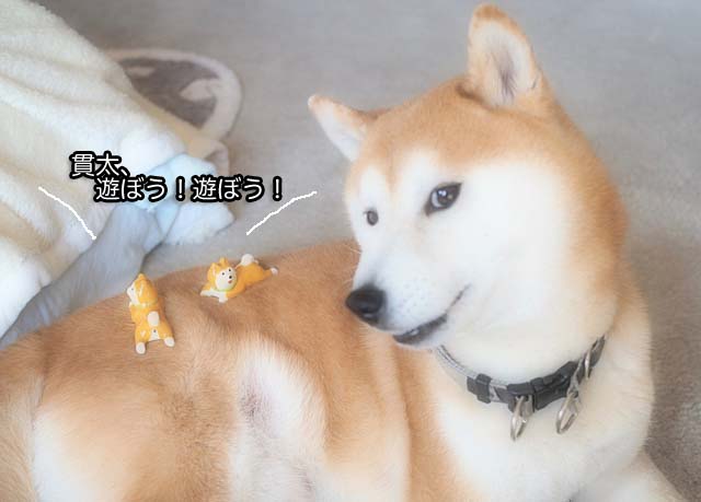 22日ブログ4