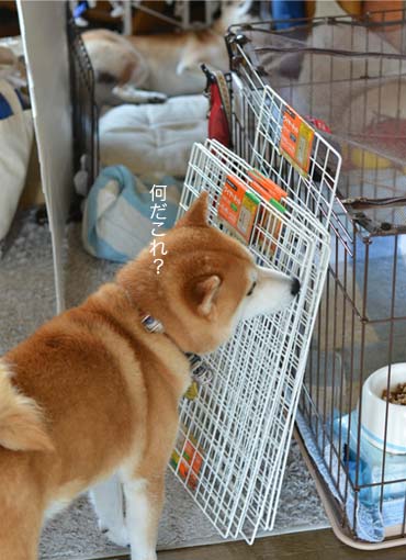 27日ブログ4.jpg