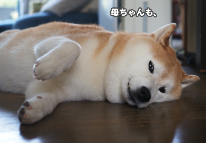30日夕ブログ５