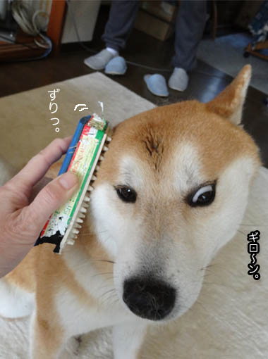 4日ブログ4.jpg