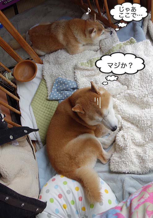 12日夜ブログ３