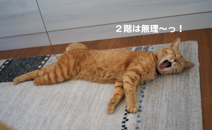 23日ブログ4